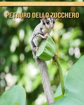 Petauro Dello Zucchero: l'incredibile vita dei Petauro Dello Zucchero