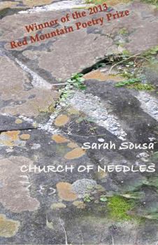 Paperback Church of Needles Book