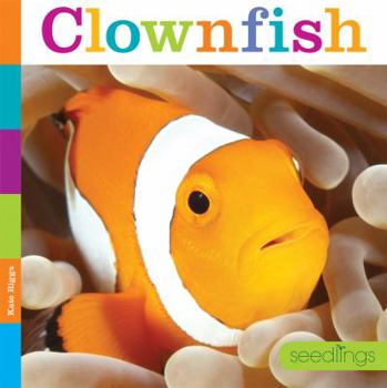Paperback Seedlings: Clownfish Book