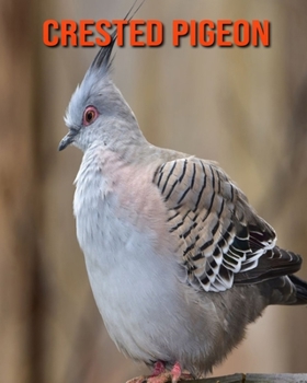 Paperback Crested Pigeon: Amazing Photos & Fun Facts Book About Crested Pigeon For Kids Book