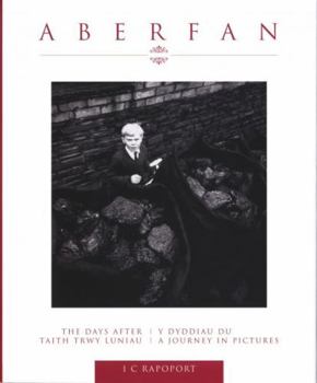 Hardcover Aberfan: The Days After: A Journey in Pictures Book