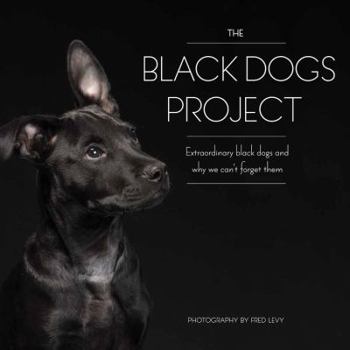 Hardcover The Black Dogs Project: Extraordinary Black Dogs and Why We Can't Forget Them Book