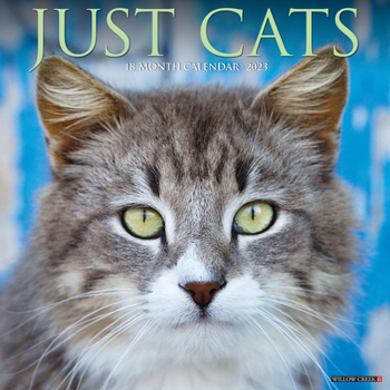 Calendar Just Cats 2023 Wall Calendar Book
