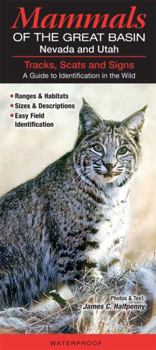 Pamphlet Mammals of the Great Basin Nevada and Utah: Tracks, Scats and Signs&#xd; A Guide to Identification in the Wild Book