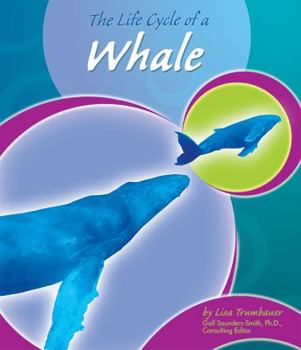 Hardcover The Life Cycle of a Whale Book