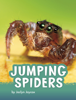 Hardcover Jumping Spiders Book