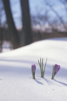 Paperback Returning to me... Book