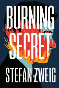 Paperback Burning Secret: A New Translation Book