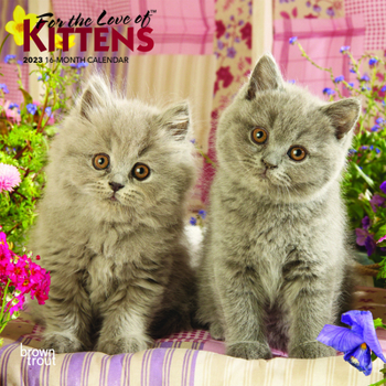 Calendar Kittens, for the Love of 2023 Mini 7x7 Foil Book