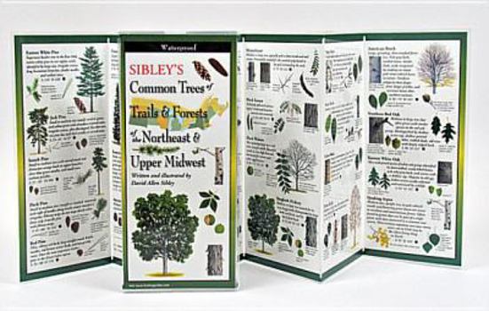 Paperback Sibley's Trees of Trails and Forests of the Northeast & Upper Midwest Book