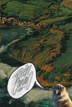 Paperback ¡Buen Camino! Book