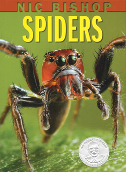 Hardcover Nic Bishop: Spiders Book