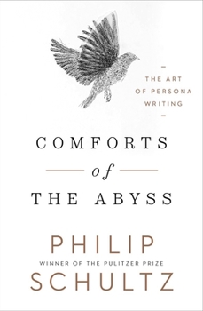 Hardcover Comforts of the Abyss: The Art of Persona Writing Book