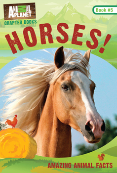 Paperback Horses! Book