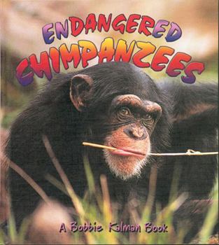 Paperback Endangered Chimpanzees Book