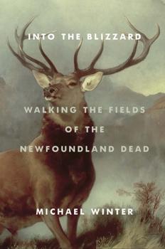 Hardcover Into the Blizzard: Walking the Fields of the Newfoundland Dead Book