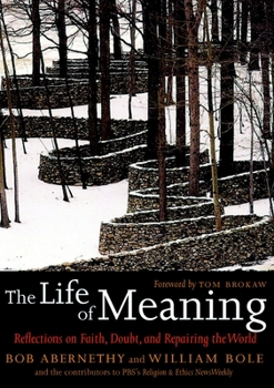 Hardcover The Life of Meaning: Reflections on Faith, Doubt, and Repairing the World Book