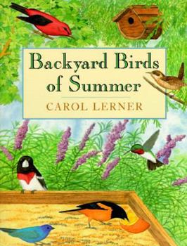 Library Binding Backyard Birds of Summer Book