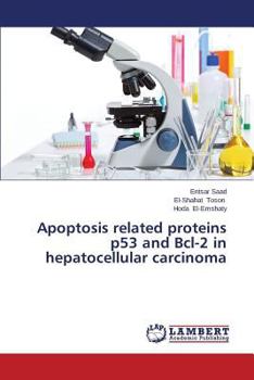 Paperback Apoptosis related proteins p53 and Bcl-2 in hepatocellular carcinoma Book