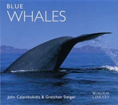 Hardcover Blue Whales Book