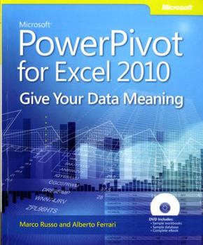 Paperback Microsoft Powerpivot for Excel 2010: Give Your Data Meaning Book