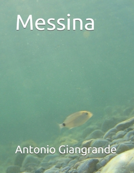 Paperback Messina [Italian] Book