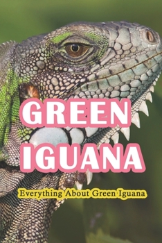 Green Iguana: Everything About Green Iguana: Characteristics, Housing, Diet, and Other Information