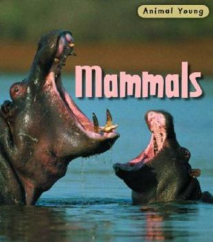 Hardcover Mammals. Rod Theodorou Book