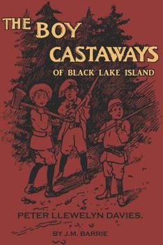 Paperback The Boy Castaways of Black Lake Island Book