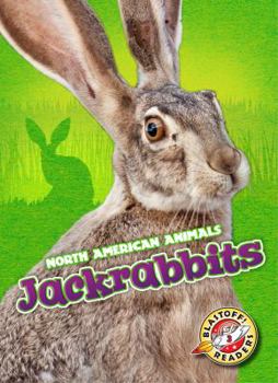 Jackrabbits - Book  of the North American Animals