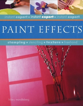 Spiral-bound Instant Expert: Paint Effects Book