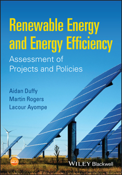 Paperback Renewable Energy and Energy Efficiency: Assessment of Projects and Policies Book