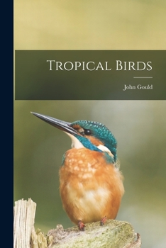 Paperback Tropical Birds Book