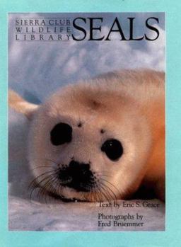 Hardcover Seals (Natural History) Book