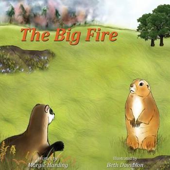 Paperback The Big Fire Book