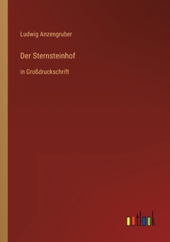 Paperback Der Sternsteinhof: in Großdruckschrift [German] Book