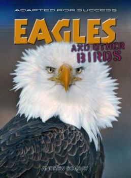 Eagles and Other Birds