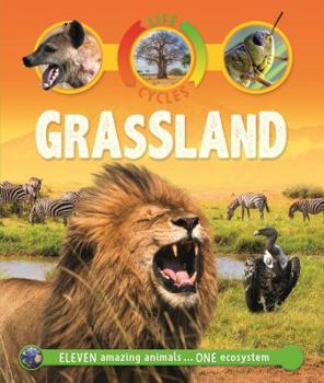 Hardcover Life Cycles: Grassland Book