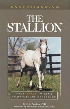 Paperback Understanding the Stallion Book