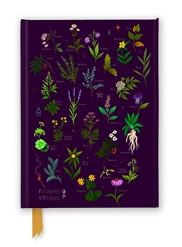 Misc. Anna Stead: For Spells & Potions (Foiled Journal) Book