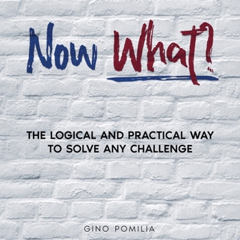 Paperback Now What?: The Logical and Practical Way to Solve any Challenge Book