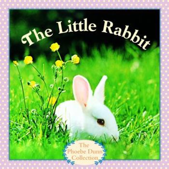 Paperback The Little Rabbit Book