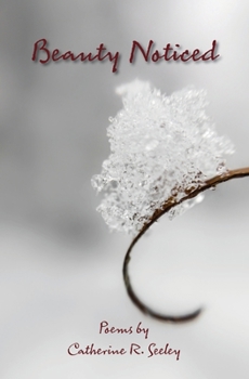 Paperback Beauty Noticed Book