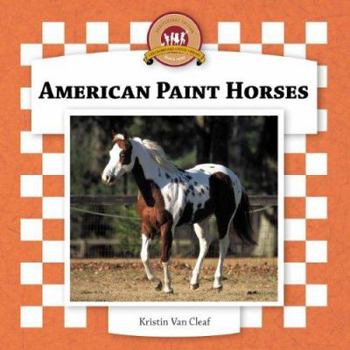 Library Binding American Paint Horses Book