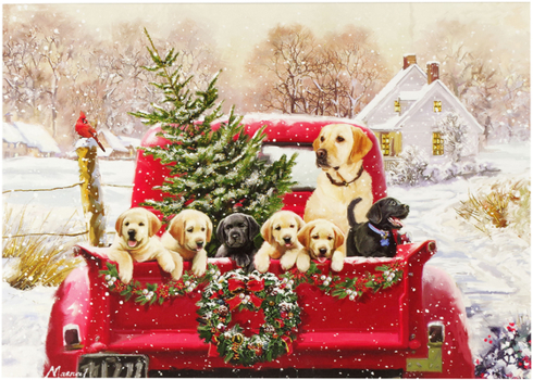 Bringing Home the Tree Holiday Cards