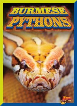 Library Binding Burmese Pythons Book
