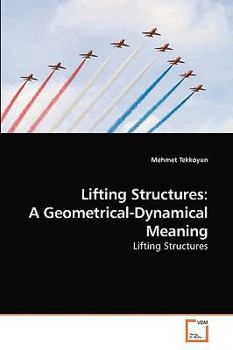 Paperback Lifting Structures: A Geometrical-Dynamical Meaning Book