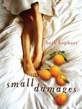 Hardcover Small Damages Book