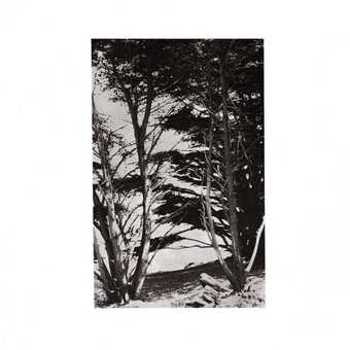 Vinyl Gentle Wilderness (LP) Book
