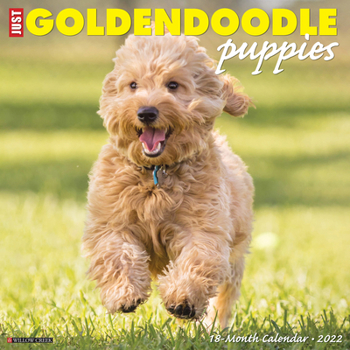 Calendar Just Goldendoodle Puppies 2022 Wall Calendar (Dog Breed) Book